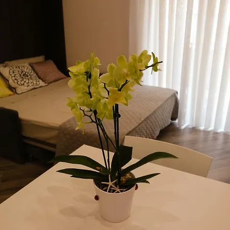 Casa Martina